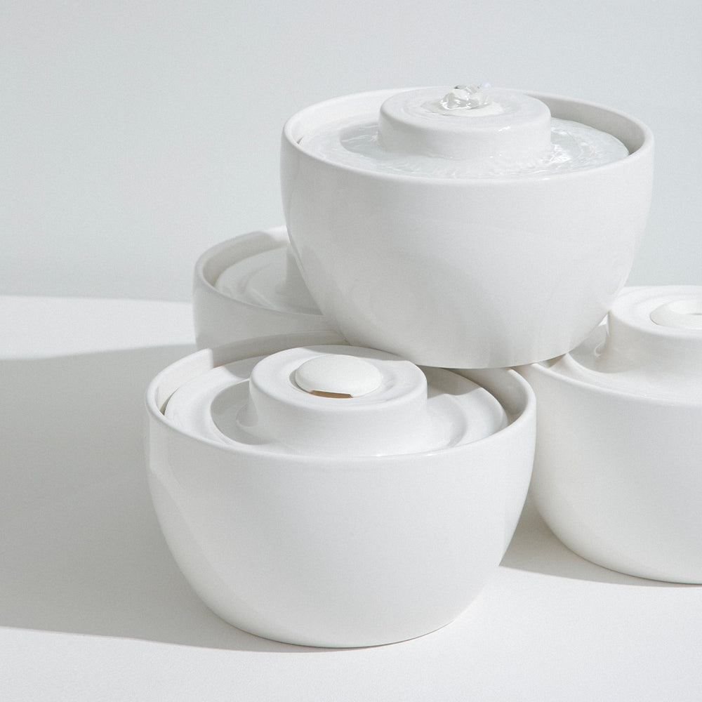 DUIT Duit Wave Pot Cat Dog Ceramic Water Feeder A Type